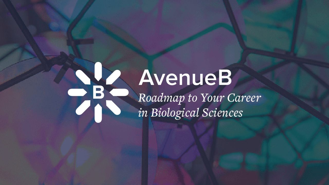 AveB logo over blue gradient