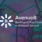 AveB logo over blue gradient